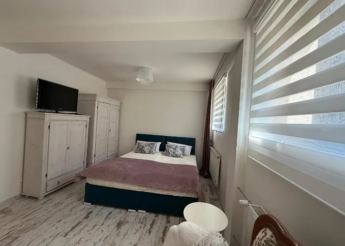 아파트 U Elinky 카를로비바리