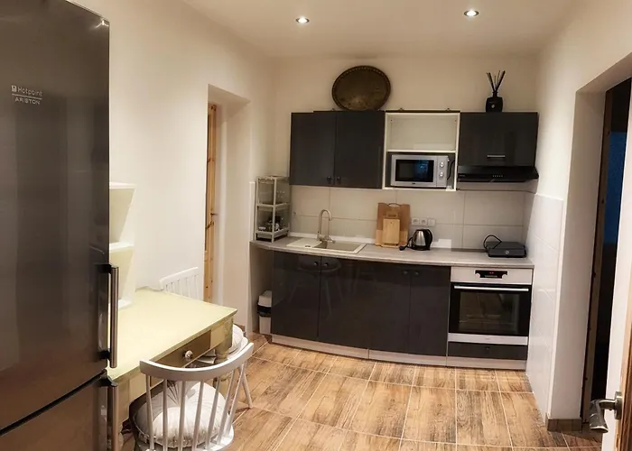 아파트 U Elinky 카를로비바리